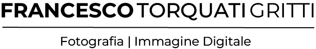 FRANCESCO TORQUATI GRITTI